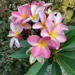 Alison Garner - @agarner53 - Instagram