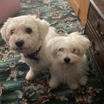 Alison Garner - @alisongarner54 - Instagram