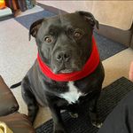 Alison Garner - @80aeg - Instagram