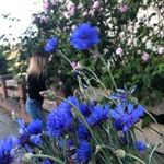 Alison Garner - @alisongarner7 - Instagram