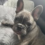 alison gateley - @alisongateley68 - Instagram