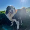 alison.gates - @alison.gates - TikTok