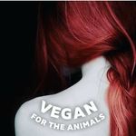 Alison Gee - @alisongeevegan - Instagram
