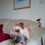 Alison Goddard - Facebook