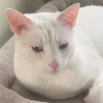 Alison Goddard - @alison_g_3_ - Instagram
