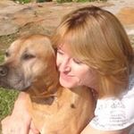 Alison Goddard - @alisongoddard4103 - Instagram