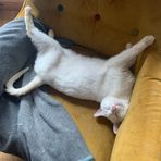 Alison Goddard - Facebook