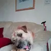 alisongoddard5 - @alisongoddard5 - TikTok