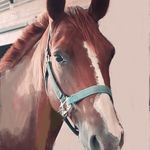 Alison-Andy Graf - @alisonandygraf - Instagram