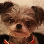 Alison gregory - @alisongregory635 - Instagram