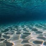 Alison Virginia Gross - @photographer_in - Instagram