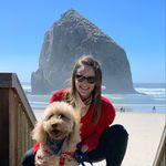 Allison Gross - @allisongrosspdx - Instagram