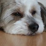 Alison - @alisonguido80 - Instagram