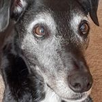 Alison Halstead - @alison.halstead.923 - Instagram
