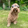 Alison Handley - @alison.handley0 - TikTok