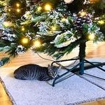 Alison Hayward - @alison_hayward1 - Instagram