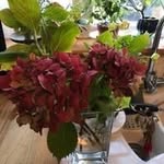 Alison Russell-Hayward - @alisonrussellhayward - Instagram
