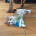 Alison Heald - Facebook