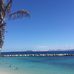 Alison Heaney - Facebook
