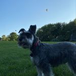 Alison Hearn - @alison.hear.n - Instagram