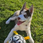 Alison Alexis Matheo Hebert - @alisonalexismatheo - Instagram