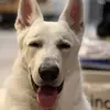Allison.Hendricks - @allisonhendricksxsgglh - TikTok
