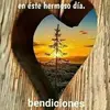 Alisson Herod - @alissonherod - TikTok