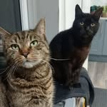 Alison Herring - @allyh1968 - Instagram