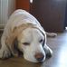 Alison Horne - Facebook