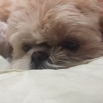 Alison Horner - @alison.oldham - Instagram