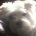 Alison Hoy - Facebook