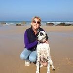 Alison Hoy - @ambachefahoy - Instagram