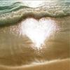 alisonhoy - @alisonhoy - TikTok
