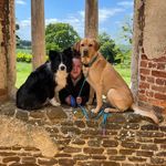 Alison Hurton - @alisonhurton - Instagram
