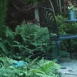 Alison Irons - @escape2thegarden2024 - Instagram