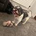 Alison Ironside - Facebook
