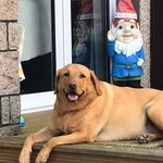 Alison Ironside - @alison.ironside - Instagram