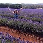 Alison Jacobs - @alisonjacobs5861 - Instagram