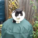 Alison Clare Jasper - @alison.c.jasper - Instagram
