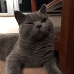 Jasper & Alison - @jaspernalison - Instagram