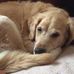 Alison Johns - Facebook