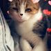 Alison Johns - Facebook