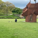 Alison Johnstone - @alison.johnstone52 - Instagram
