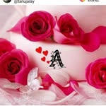 alison kahn - @kahn.alison - Instagram