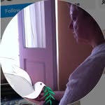 Alison Kahn - @alison_jp__kahn - Instagram