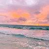 Alison Kay - @alisonkaysc - TikTok