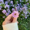 Alison Kay - @user1858572004916 - TikTok
