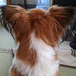 AymH - @alison_kaz4 - Instagram