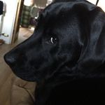 Alison Kelman - @al_xviii - Instagram