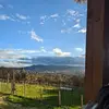Alison Kidd - @alison.kidd6 - TikTok
